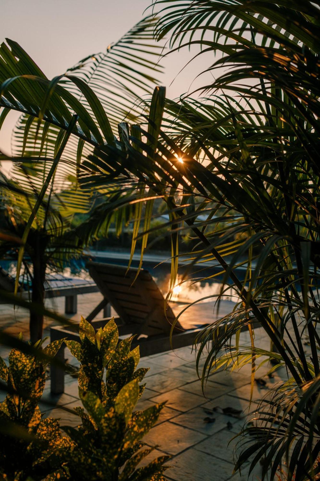 Hotel Parkside & Swimming Pool-Between Greenery And Azure ,Your Perfect Retreat Chitwan Bagian luar foto